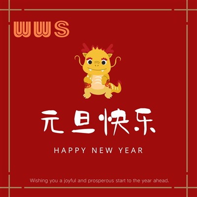Auguri e vacanze di Capodanno dal gruppo WWS
